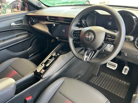 JUNIOR Ibrida PREMIUM