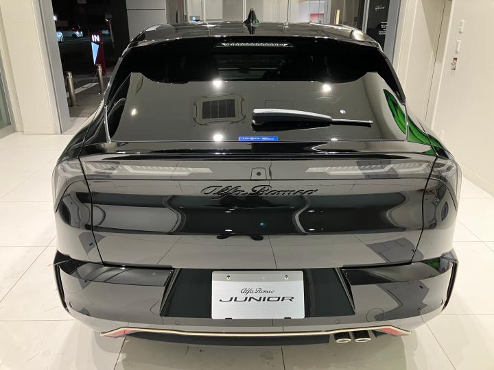 JUNIOR Ibrida INTENSA