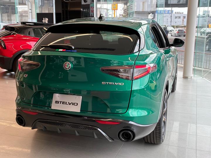 STELVIO 2.0 TURBO Q4 INTENSA