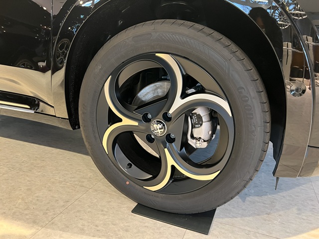 JUNIOR Ibrida INTENSA