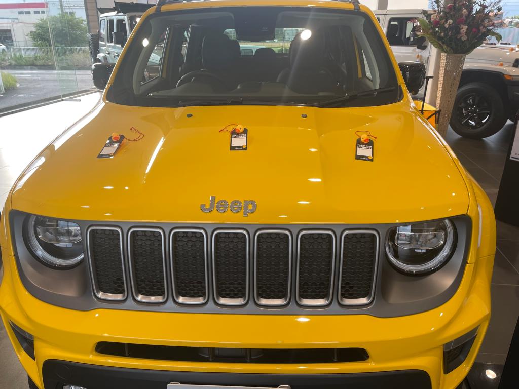 アヒル大量発生中⁉︎｜ジープ越谷スタッフブログ｜Jeep Official