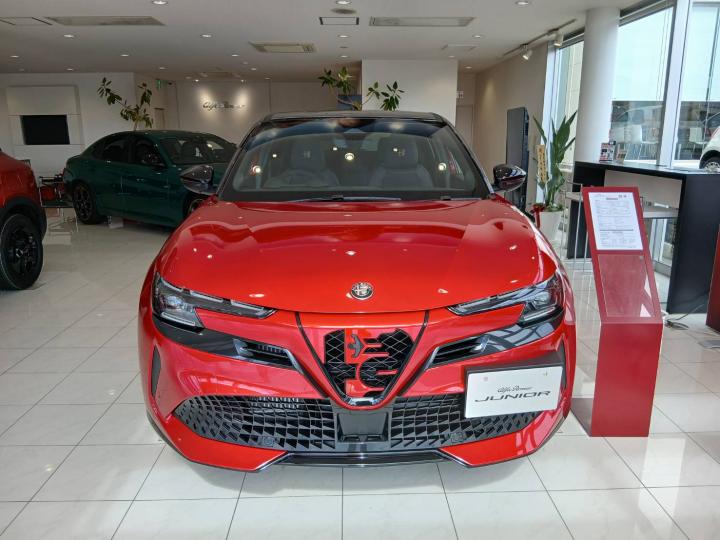 JUNIOR Ibrida INTENSA