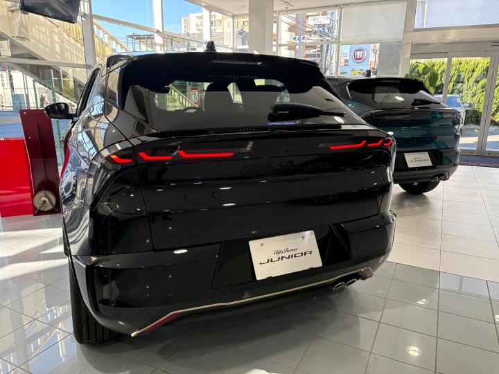 JUNIOR Ibrida INTENSA