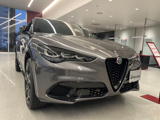 STELVIO 2.0 TURBO Q4 VELOCE