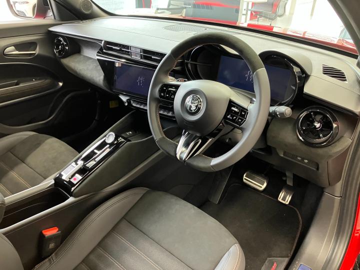 JUNIOR Ibrida INTENSA