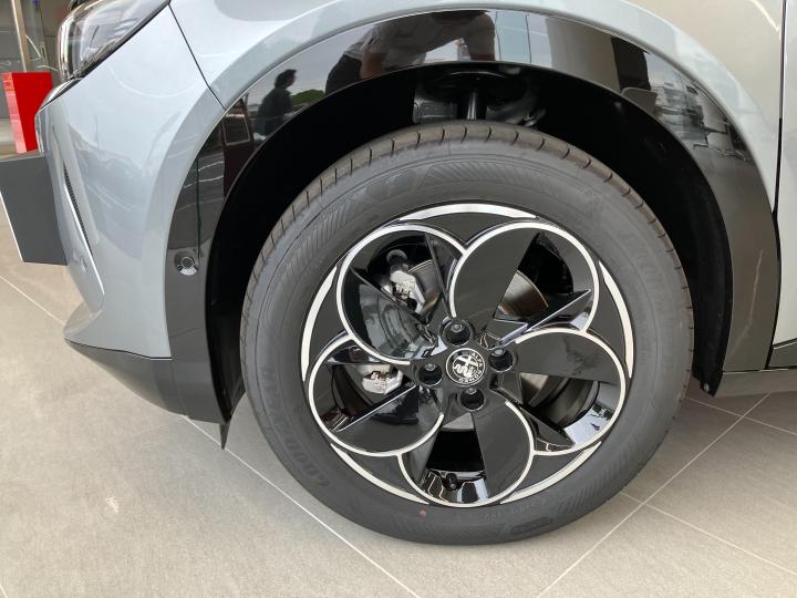 JUNIOR Ibrida PREMIUM