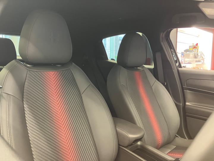 JUNIOR Ibrida PREMIUM