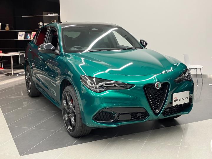 STELVIO TRIBUTO ITALIANO