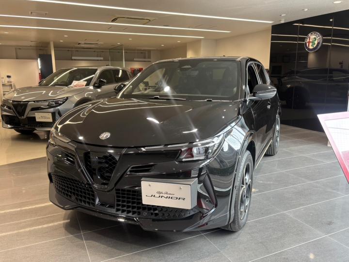 JUNIOR Ibrida INTENSA