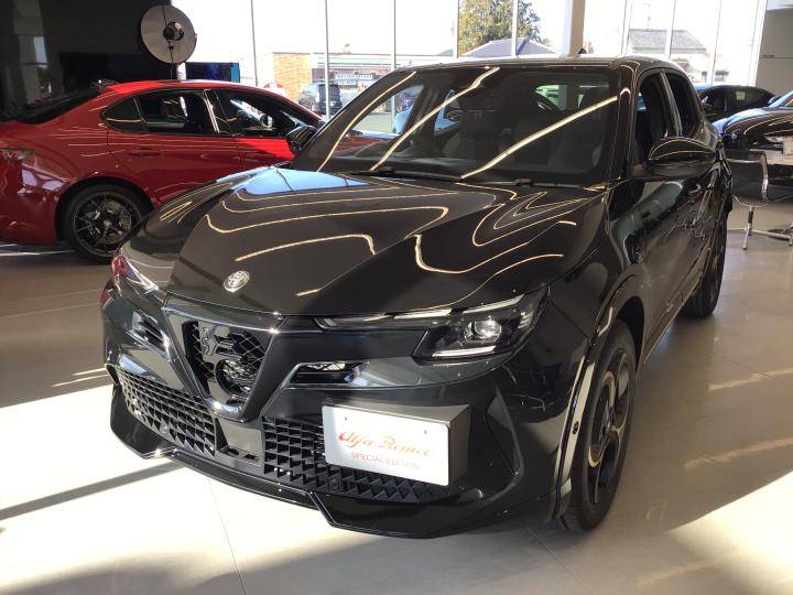 JUNIOR Ibrida INTENSA