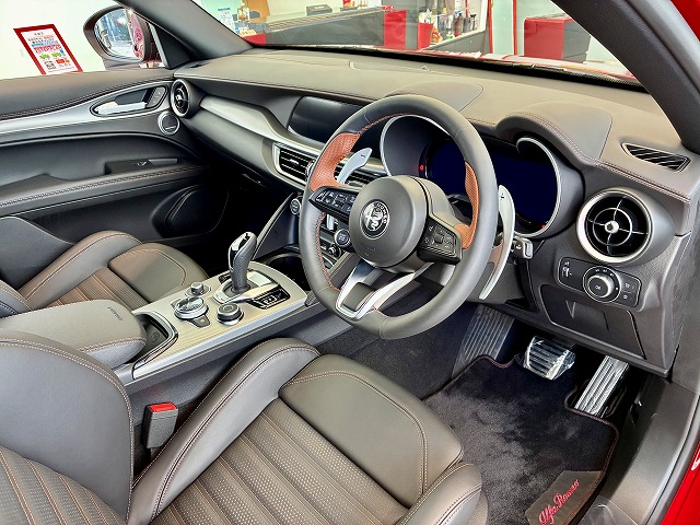 STELVIO 2.0 TURBO Q4 INTENSA