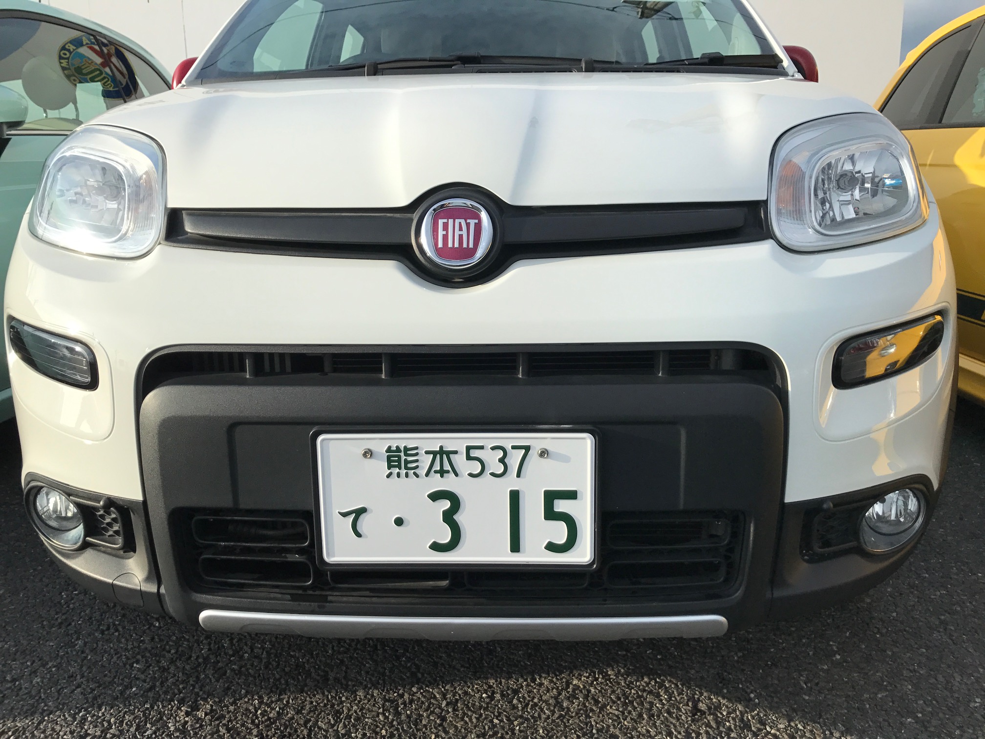 中古車情報 パンダ 株式会社gst