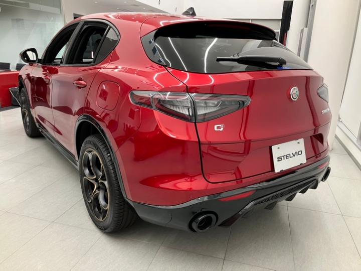 STELVIO 2.0 TURBO Q4 INTENSA