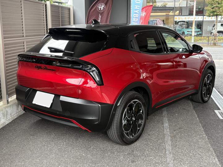 JUNIOR Ibrida SPECIALE