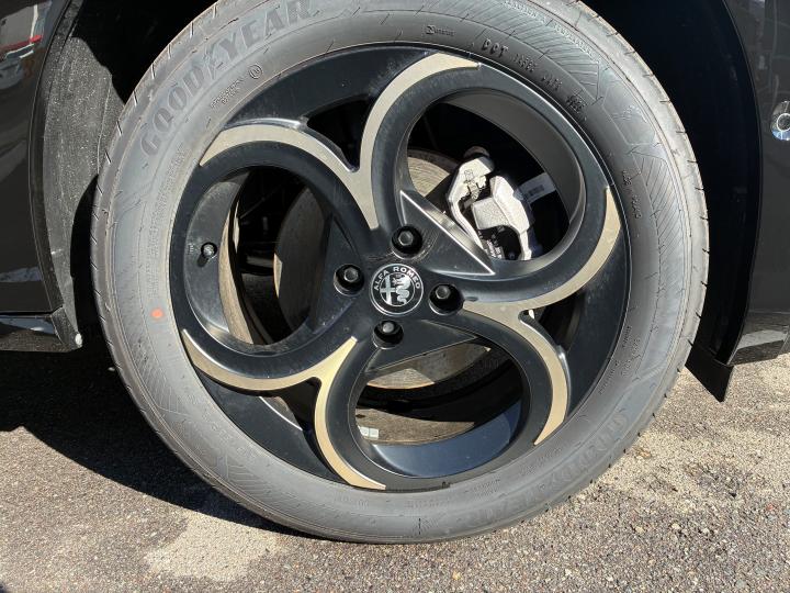 JUNIOR Ibrida INTENSA