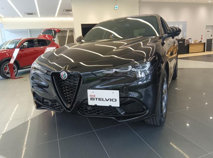 STELVIO 2.2 TURBO DIESEL Q4 SPRINT