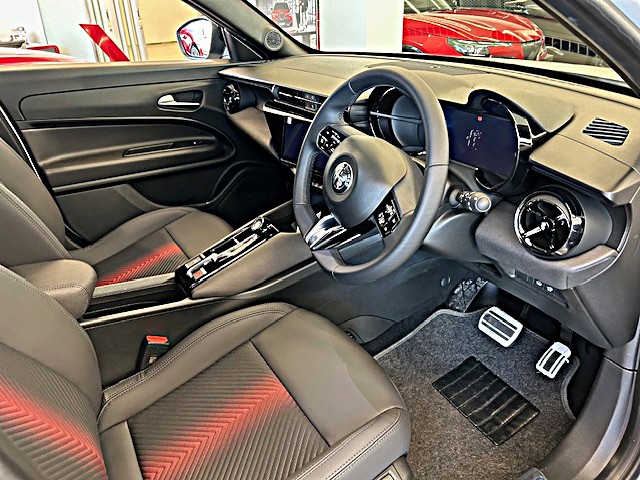 JUNIOR Ibrida PREMIUM