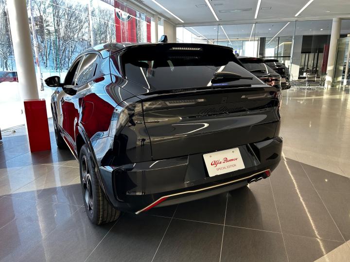 JUNIOR Ibrida INTENSA