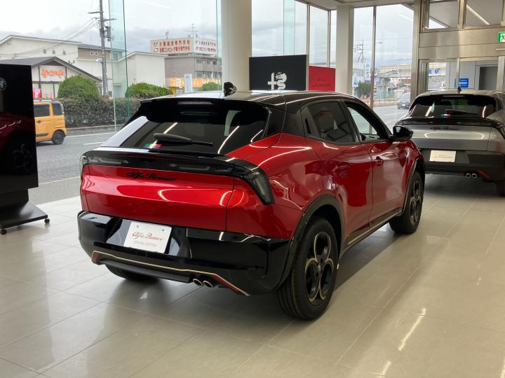 JUNIOR Ibrida INTENSA