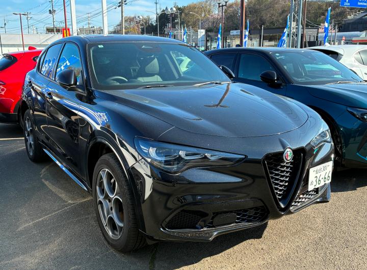 STELVIO 2.0 TURBO Q4 SPRINT
