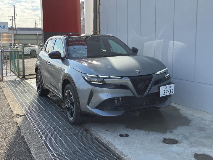 JUNIOR Ibrida PREMIUM