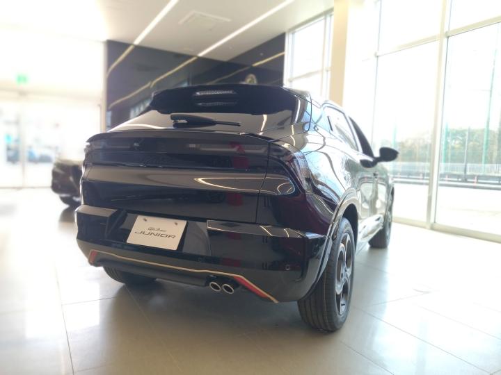 JUNIOR Ibrida INTENSA