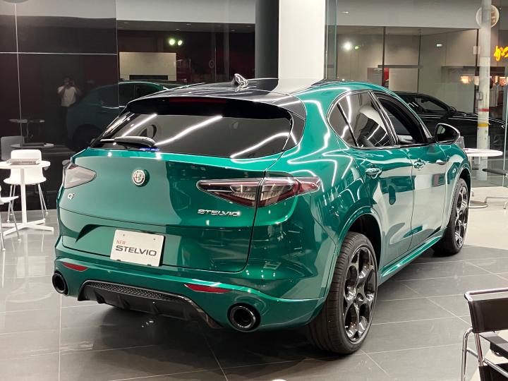 STELVIO TRIBUTO ITALIANO