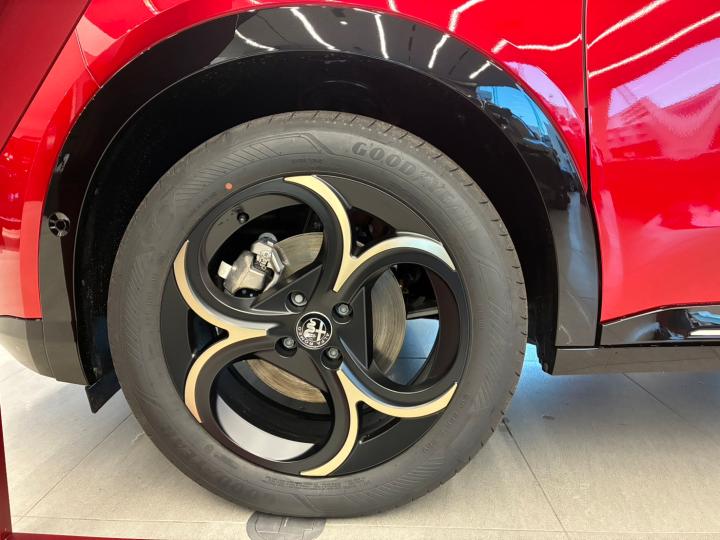 JUNIOR Ibrida INTENSA