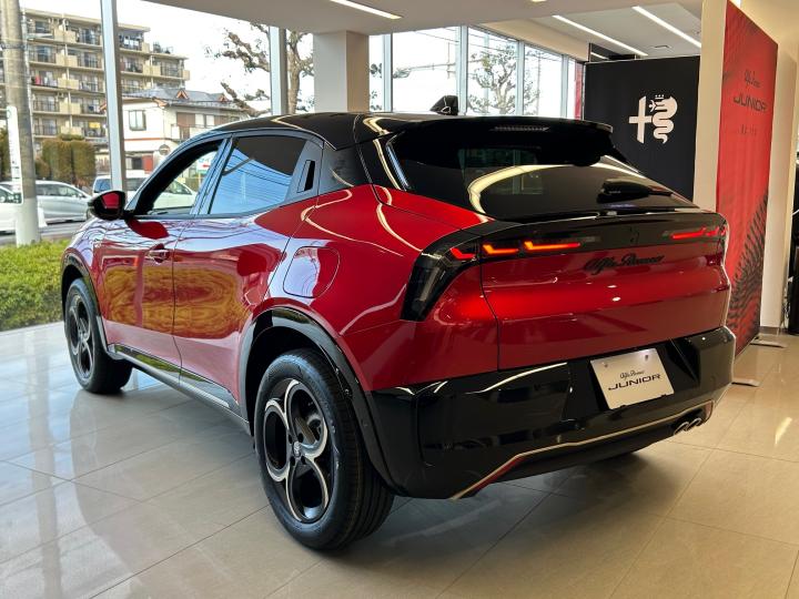 JUNIOR Ibrida INTENSA