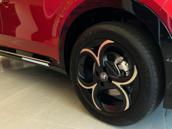 JUNIOR Ibrida INTENSA