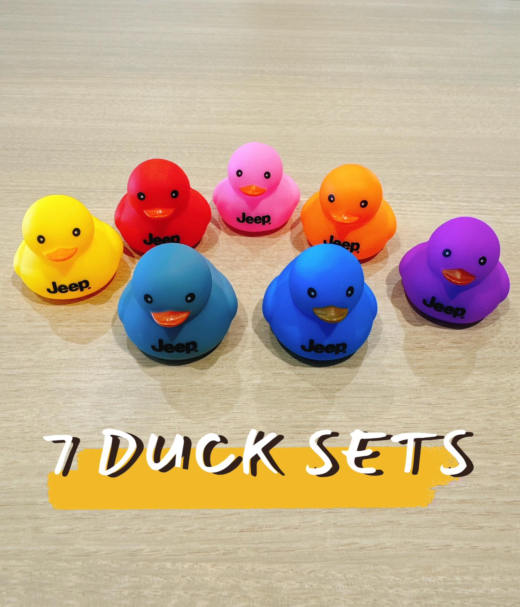 7 DUCK SETS