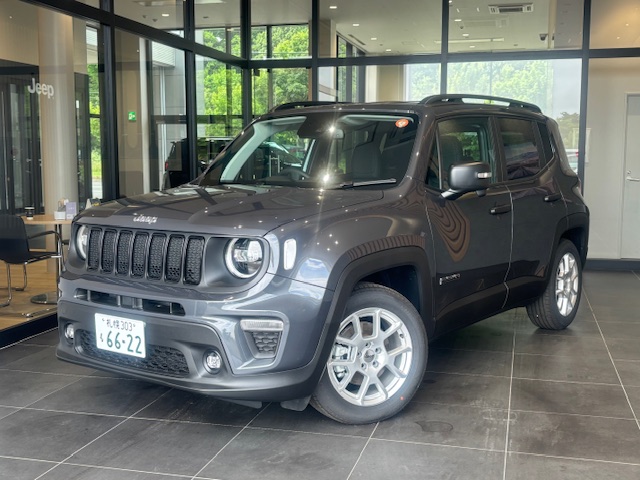 Renegade Altitude e-Hybrid