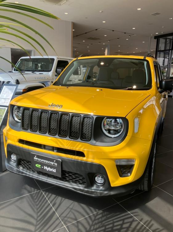 Renegade Altitude e-Hybrid