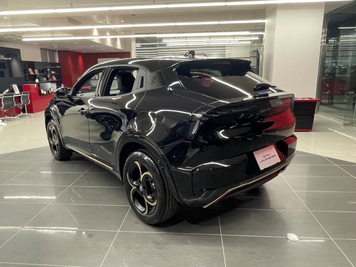 JUNIOR Ibrida INTENSA