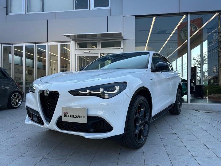 STELVIO 2.0 TURBO Q4 VELOCE