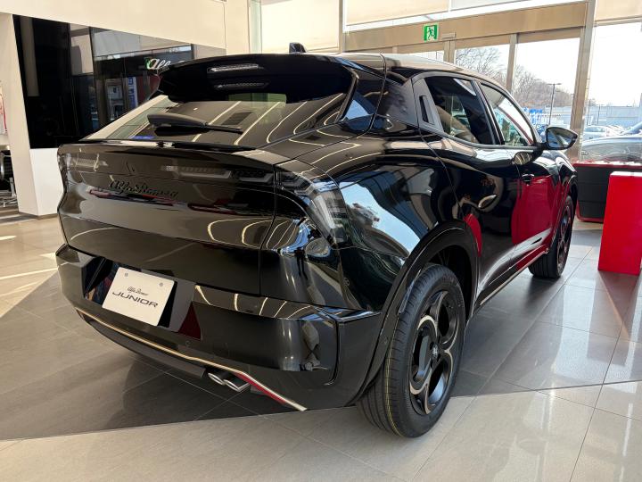 JUNIOR Ibrida INTENSA