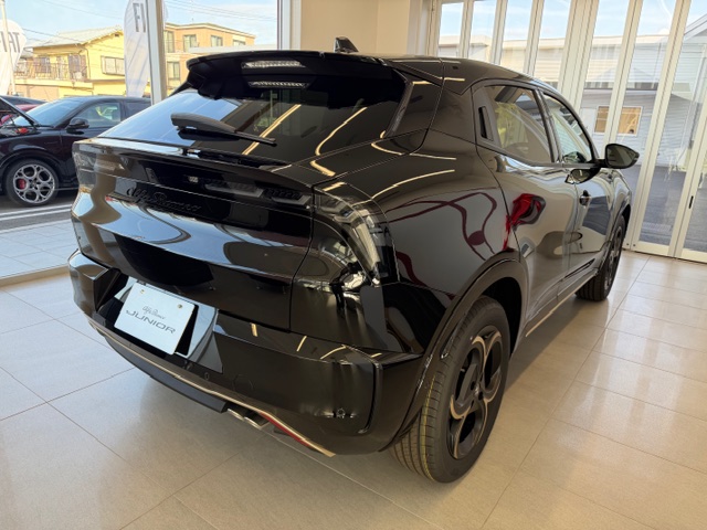 JUNIOR Ibrida INTENSA