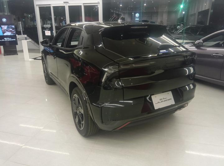 JUNIOR Ibrida PREMIUM