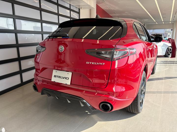 STELVIO TRIBUTO ITALIANO