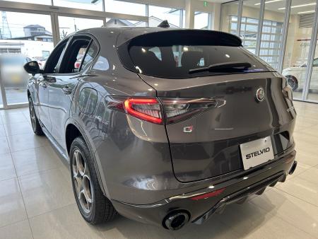 STELVIO 2.0 TURBO Q4 SPRINT