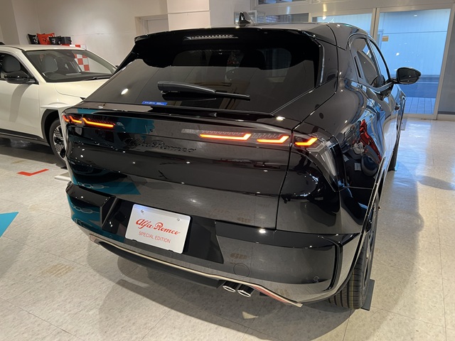 JUNIOR Ibrida INTENSA