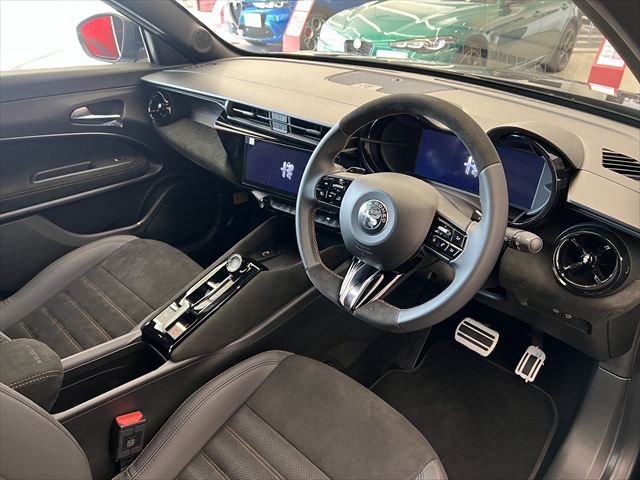 JUNIOR Ibrida INTENSA