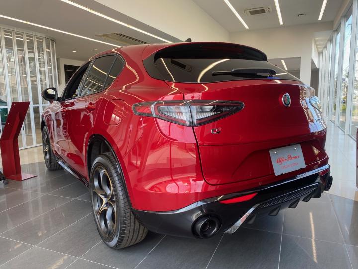 STELVIO 2.0 TURBO Q4 INTENSA