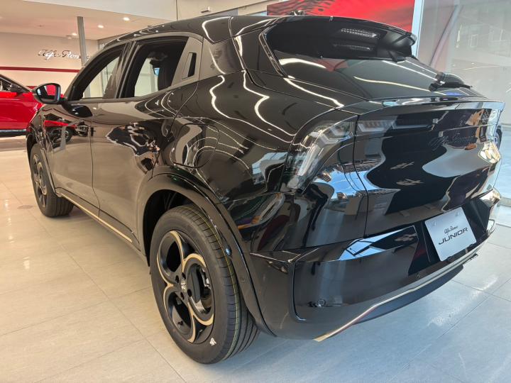 JUNIOR Ibrida INTENSA