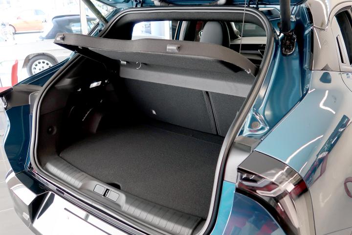 JUNIOR Ibrida PREMIUM