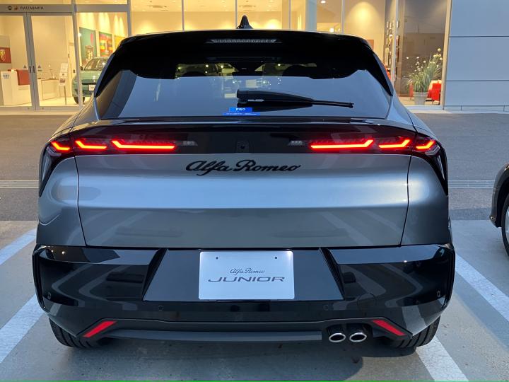 JUNIOR Ibrida PREMIUM