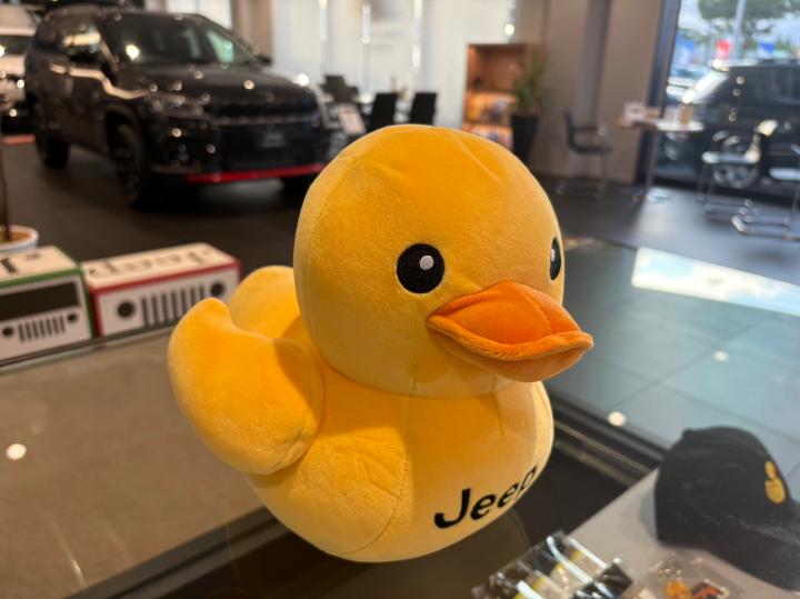 DUCK PILLOW