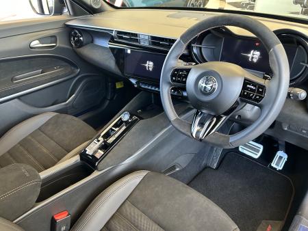 JUNIOR Ibrida INTENSA