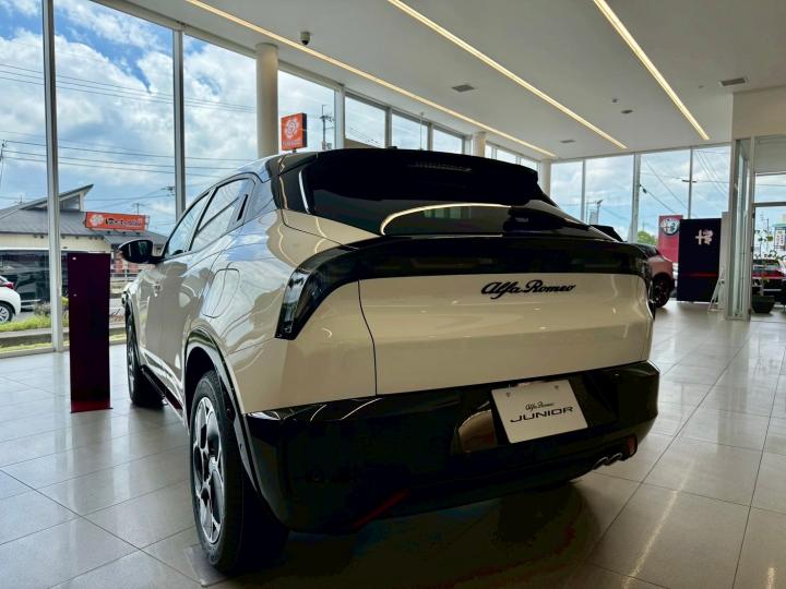 JUNIOR Ibrida PREMIUM