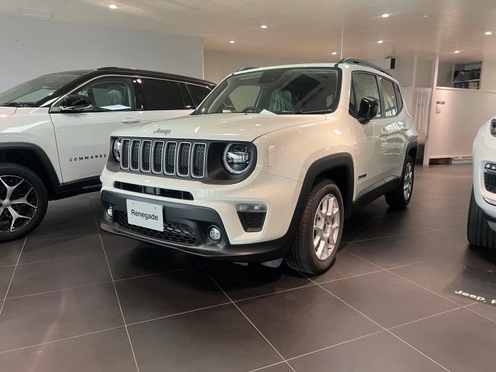 Renegade Limited